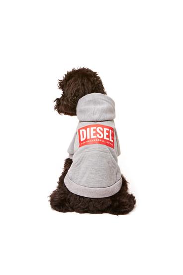 Diesel - PET-SCOTTO, Gris - Image 4